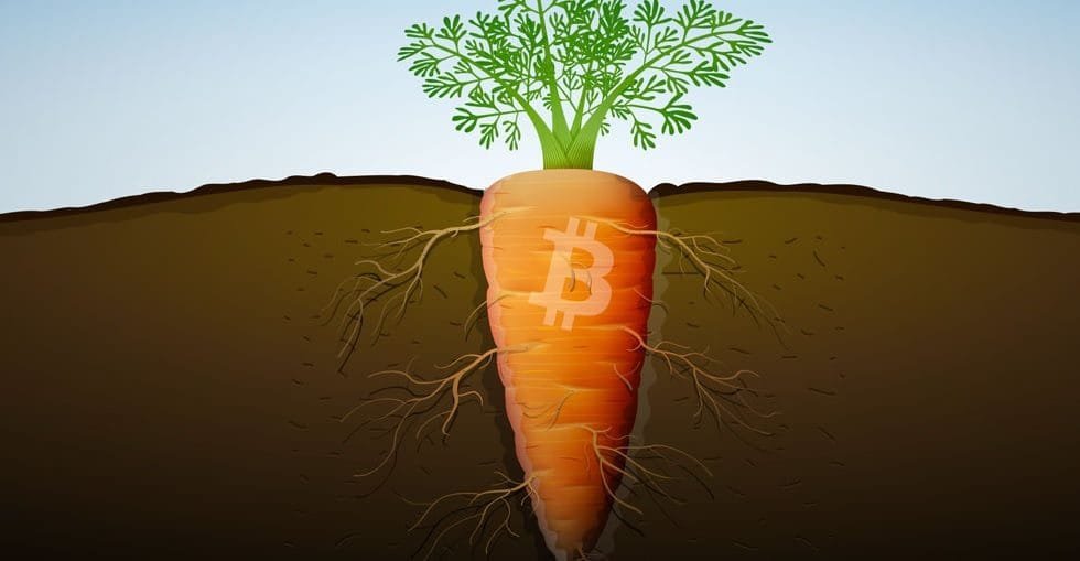 Atualização do Bitcoin Taproot: O Que Isso Significa