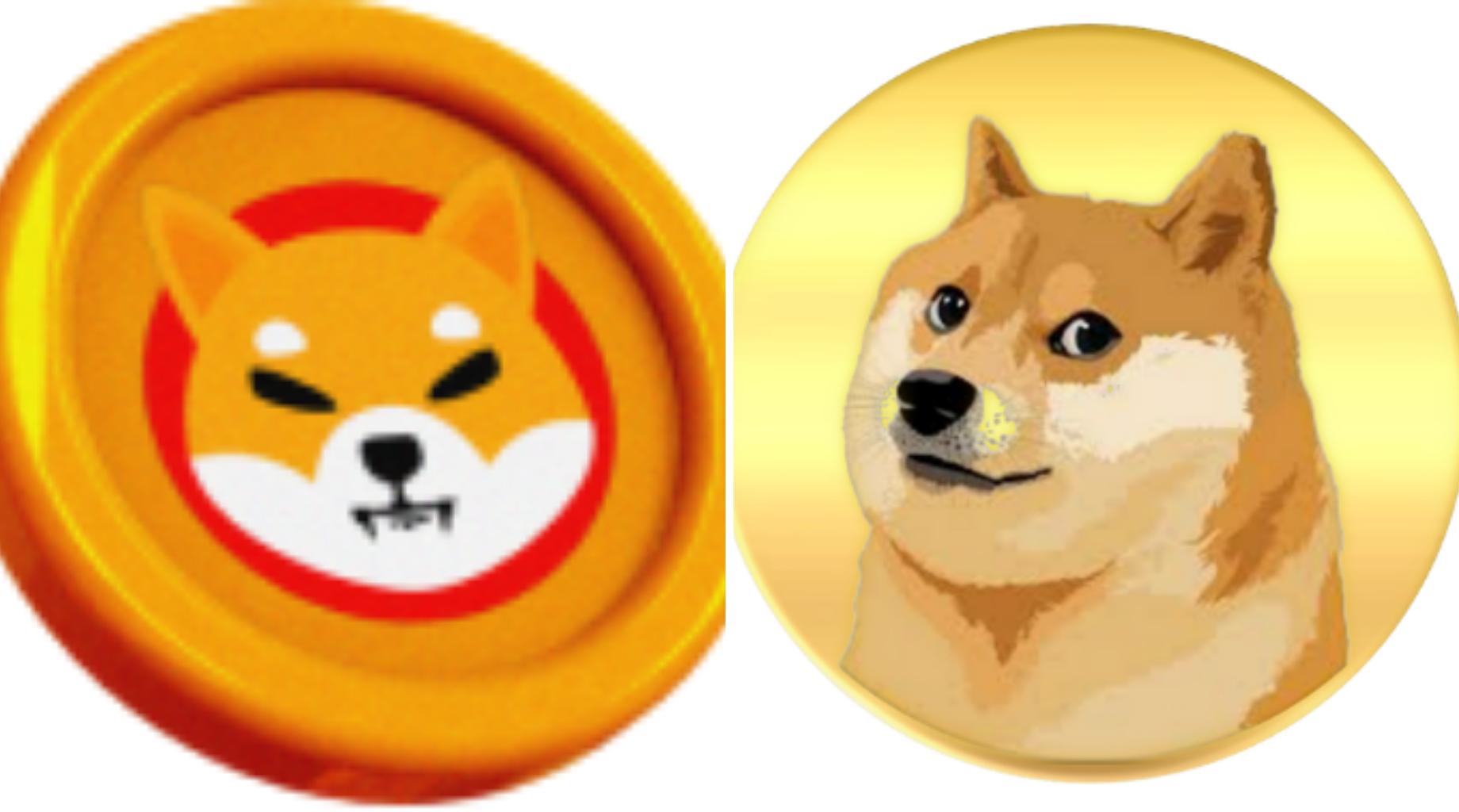 Dogecoin Vs. Shiba Inu: Qual Criptomoeda Comprar em 2021 6 Dogecoin Vs. Shiba Inu