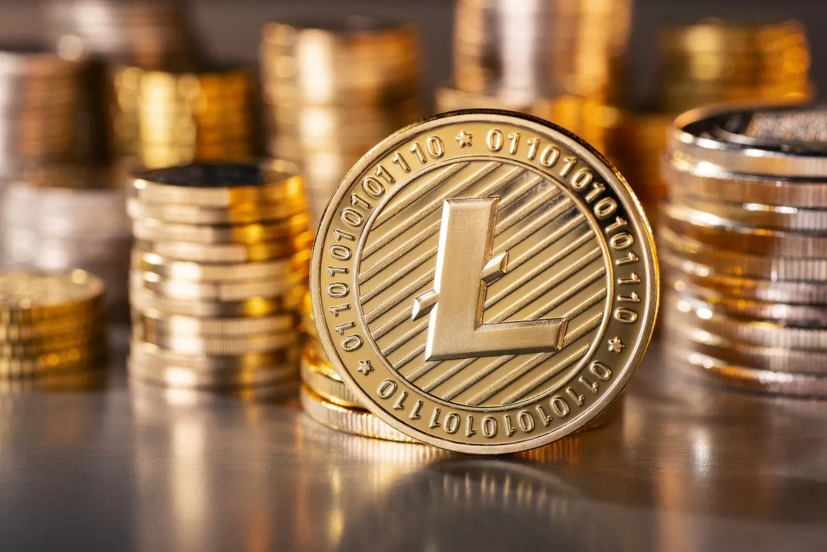Melhor Carteira para Litecoin: Sua Fortaleza Digital