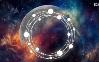 Criptomoedas e a Revolução dos NFTs com ECOMI e VeVe