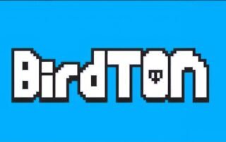 Guia Definitivo para Retirar Seus Ganhos do BirdTON